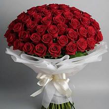 Букет 101 Красная роза Блэк Мэджик #REPLACE_PRED# Новой Ляле
