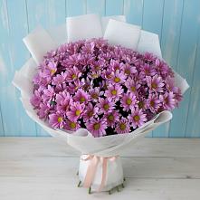 Букет цветов из:  Хризантемы в Новой Ляле