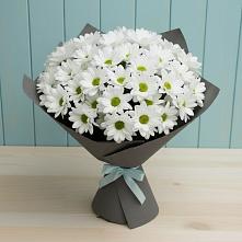 Букет цветов из:  Хризантемы в Новой Ляле