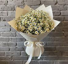 Букет цветов из:  Ромашки #REPLACE_PRED# Новой Ляле