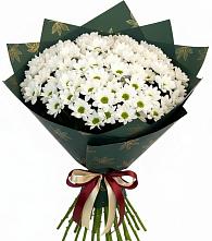 Букет цветов из:  Хризантемы #REPLACE_PRED# Новой Ляле