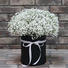 Цветочная композиция из Гипсофила в шляпной коробке в Новой Ляле