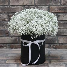 Цветочная композиция из Гипсофила в шляпной коробке в Новой Ляле