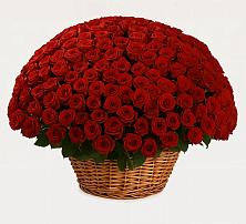 Премиум букет из: Розы в Новой Ляле